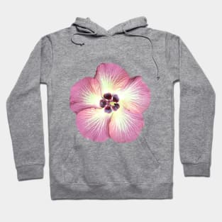 Grounded Tropical Flower Hoodie